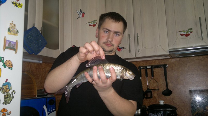 Александр Веко | Петрозаводск