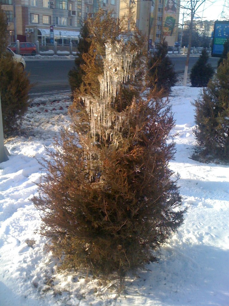 Sergey Ibragimov | Ташкент