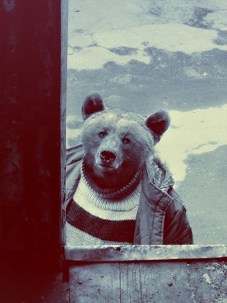 Евхений Смирнов | Санкт-Петербург