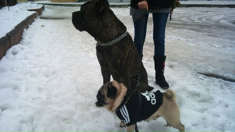 Наталия Лазарева | Киев