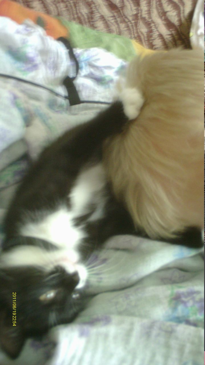 Александра Ланцова | Кондопога