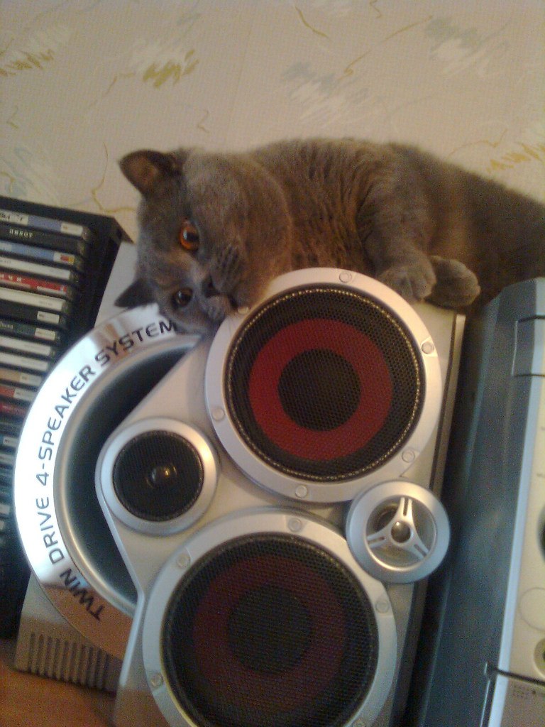 Ирина Чистякова | 