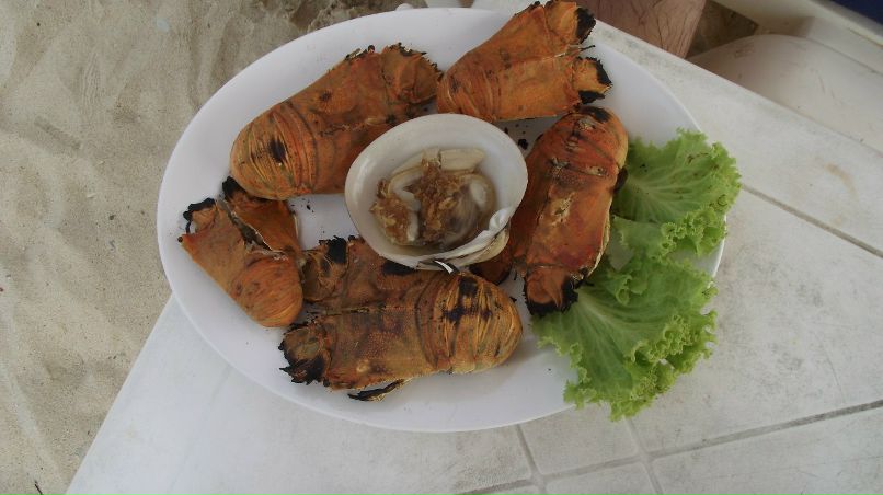 Наташа Корнацкая | Мончегорск