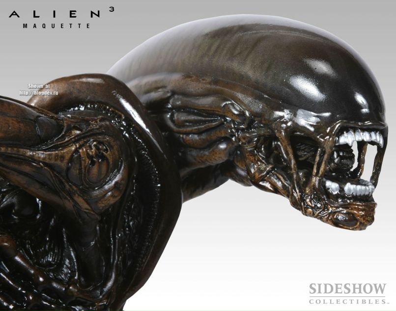 Викентий Борисович | Kingston