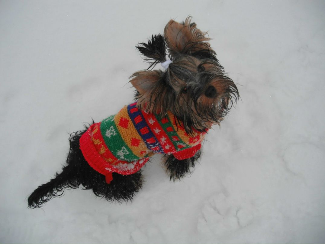 Света Васина | Москва