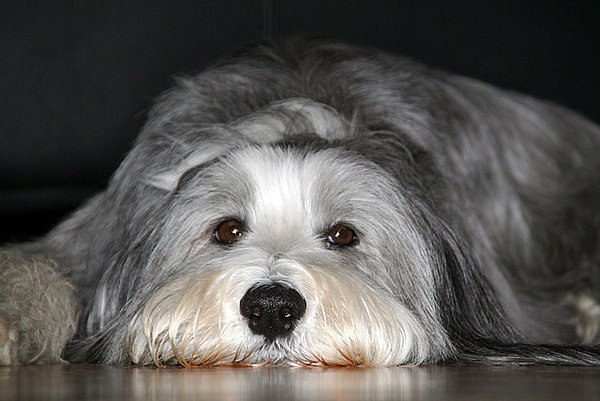 Светлана Черемных | Тула