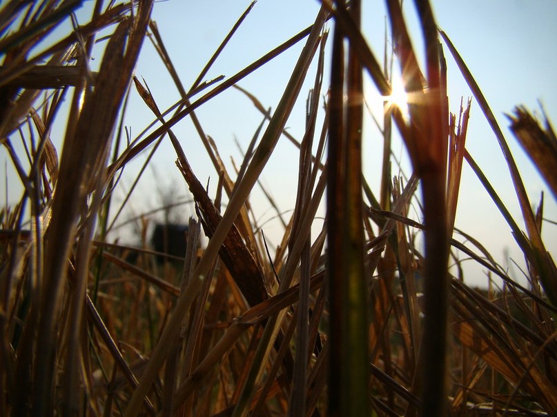 Светка Жукова | Санкт-Петербург