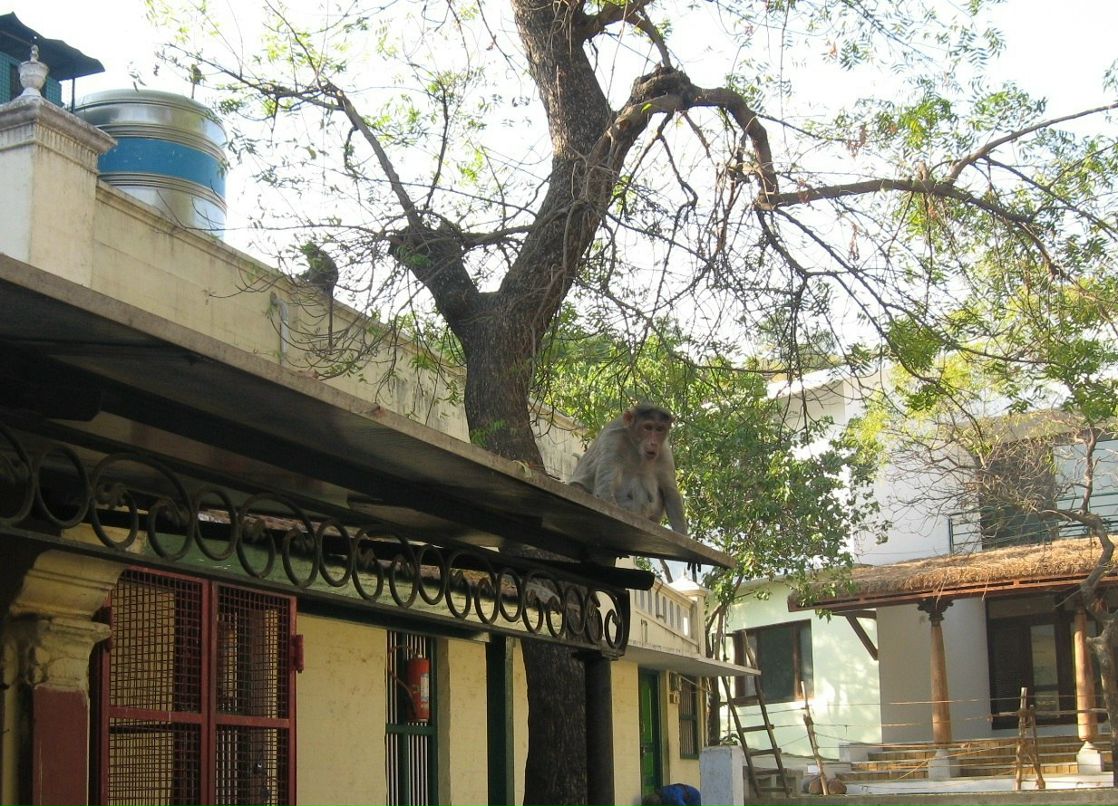 Елена Смирнова | Санкт-Петербург