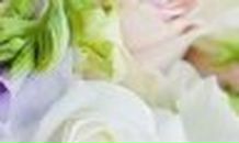 Алёна Чорная | 