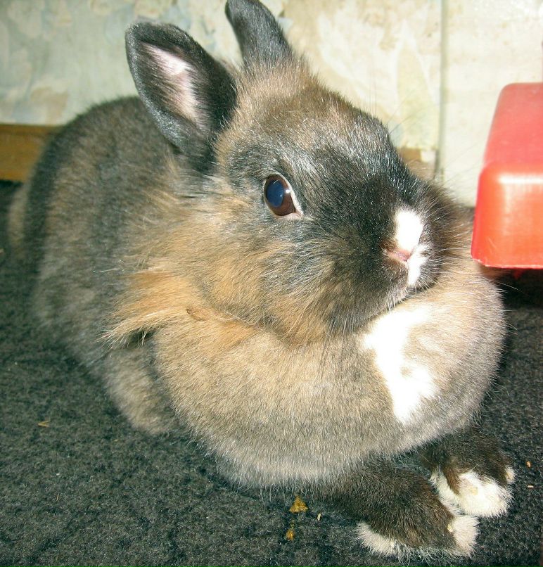 Василиса Смоленова =:В | Иваново