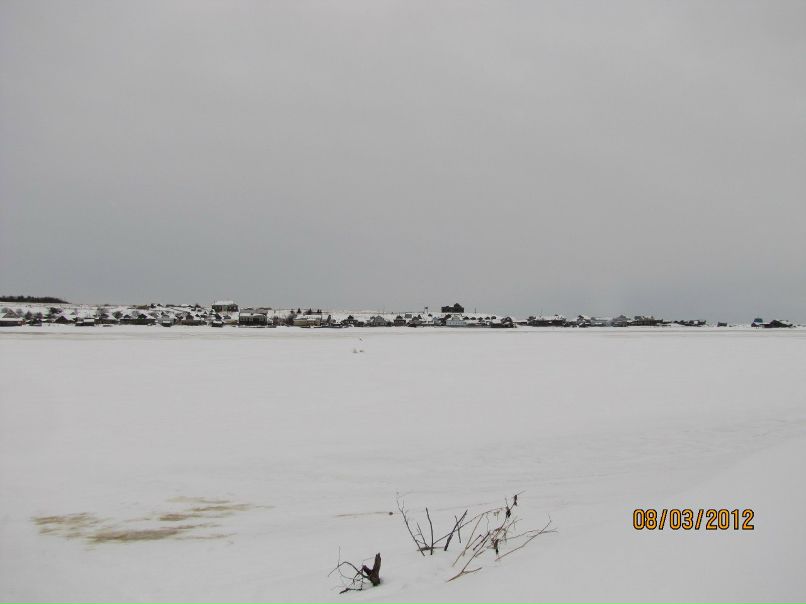 Оксана Царькова | Мытищи