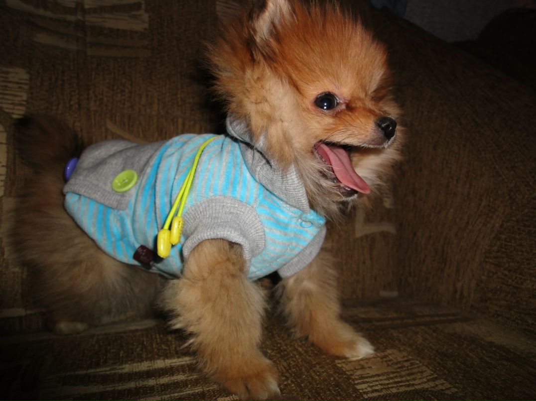 Алёна Кучер | 