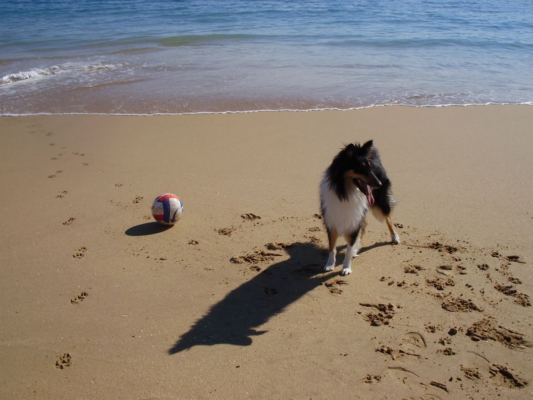 Лена Присяжнюк | Lagos