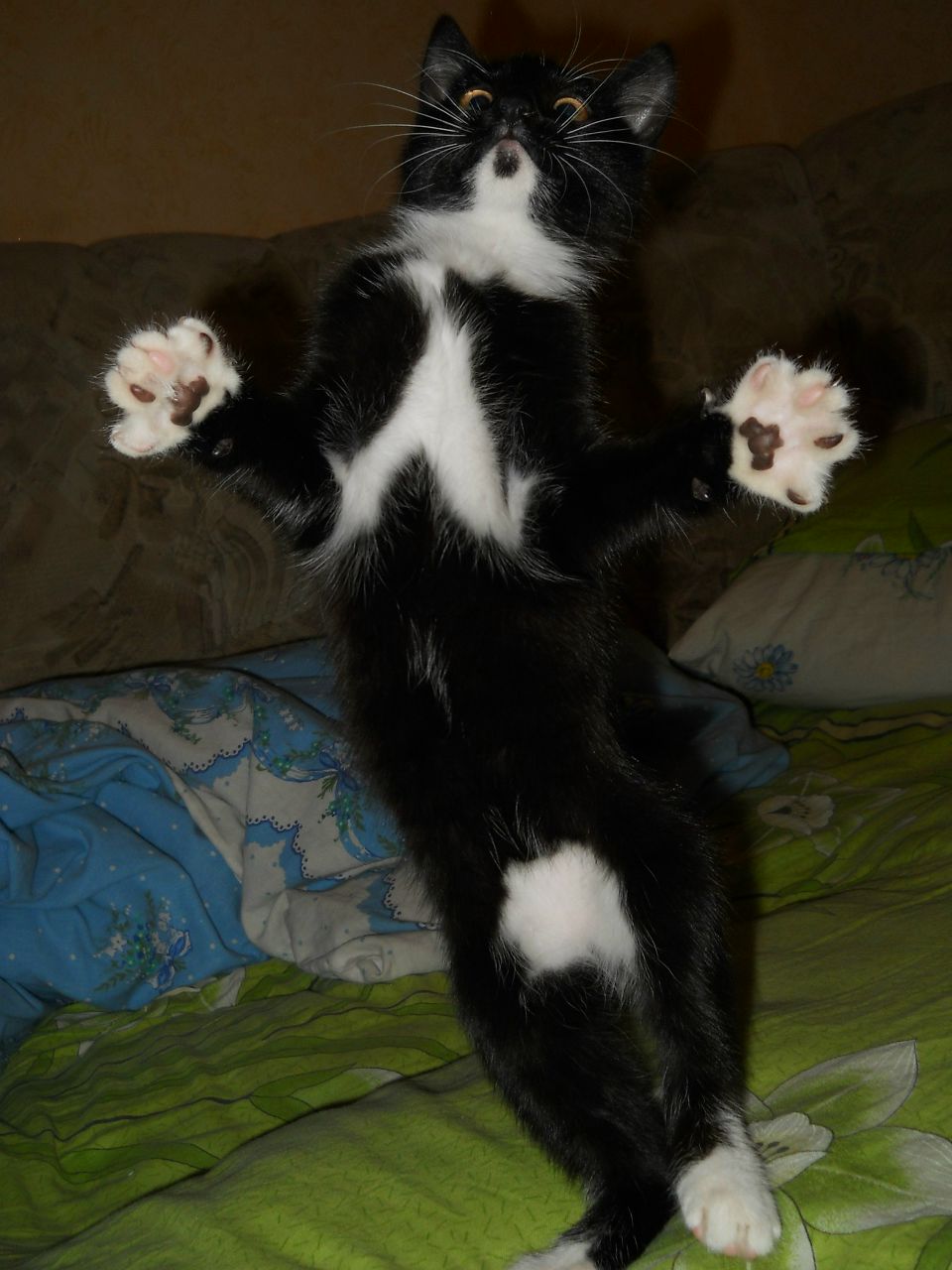 Александр Литвинов Юрьевич | Докучаевск