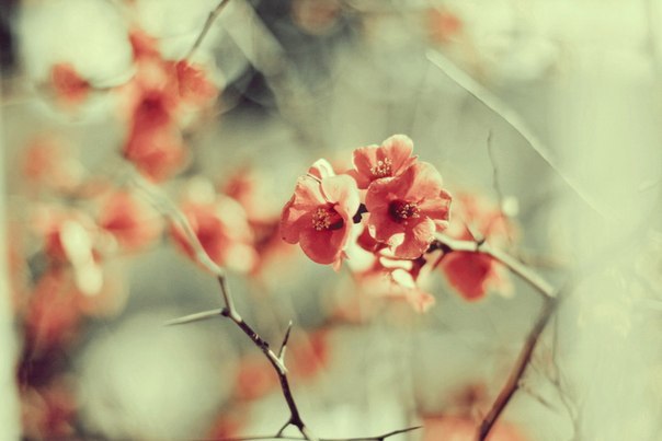 Лена Разгуляева | Москва