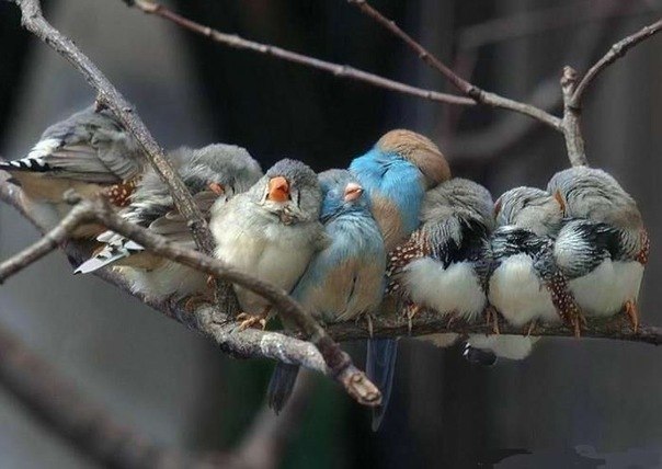 Leila Karaeva | Gdańsk