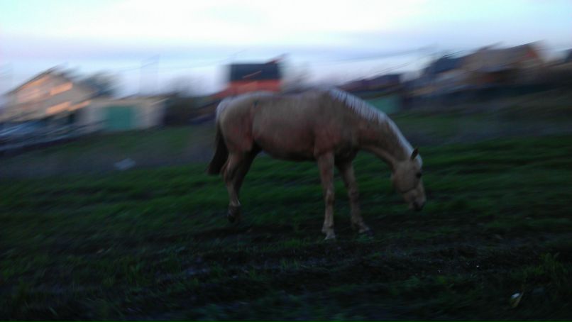 Андрей Аст Спрожкоко | Ростов-на-Дону