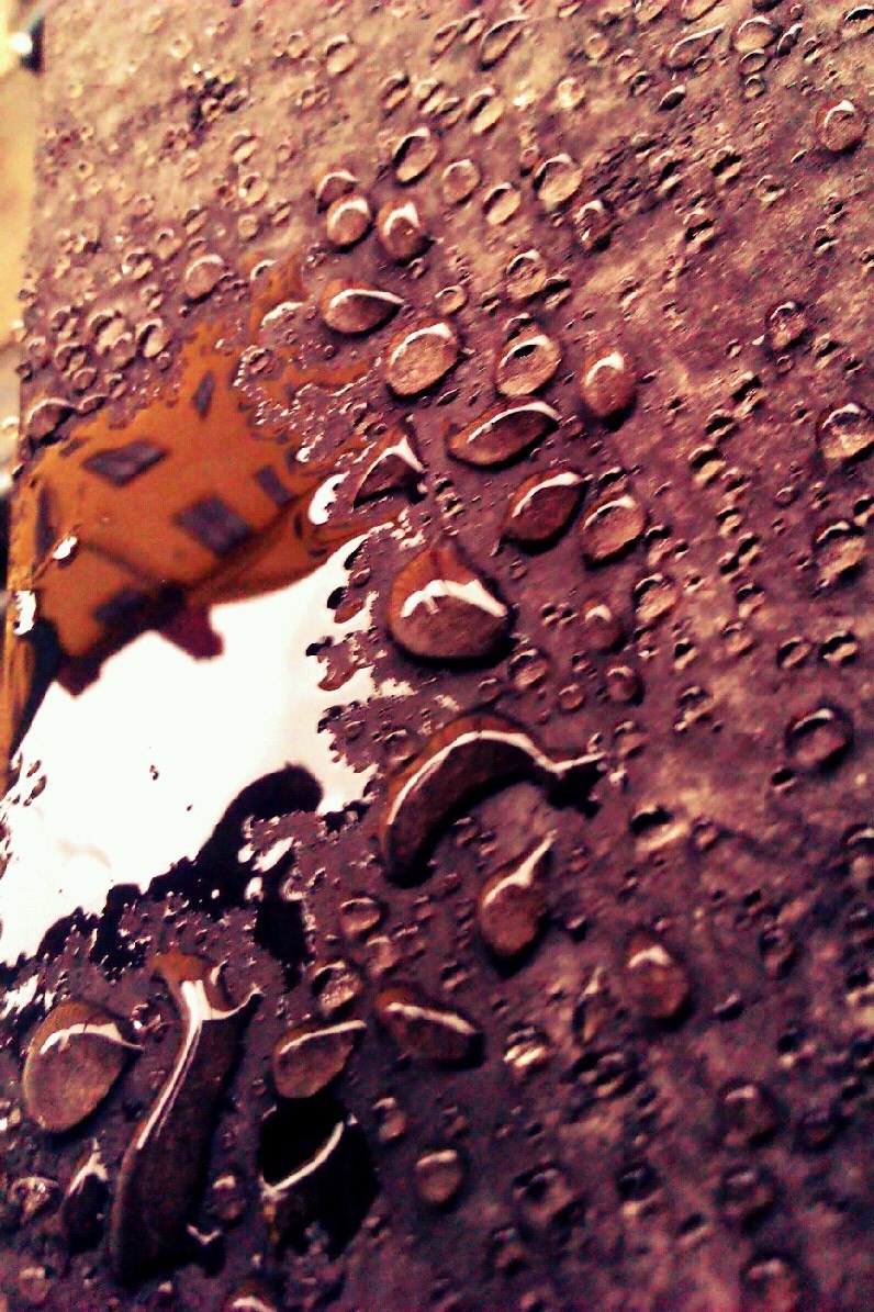 Анна Антохина | Москва