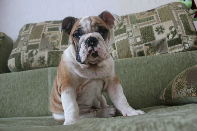 Никита Комаров | Москва