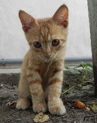 Сергей Игнаточкин | Москва