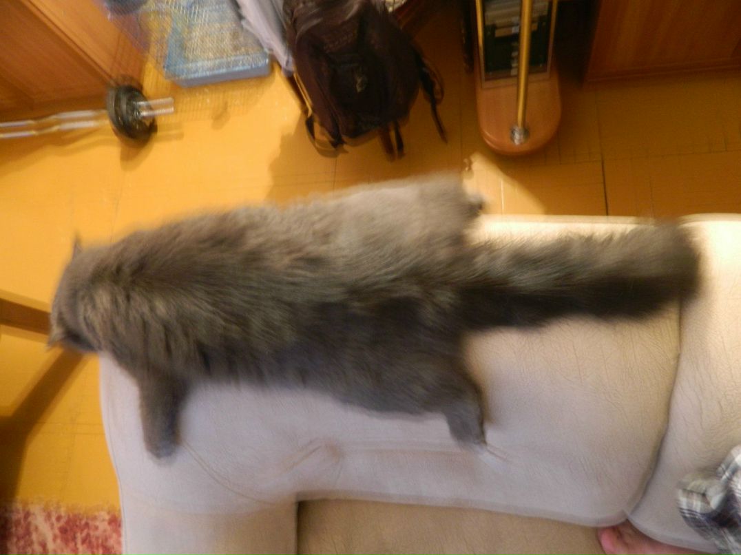 Евгений Мельниченко W | Челябинск