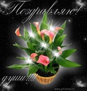 Фотография Мамедовой Гули