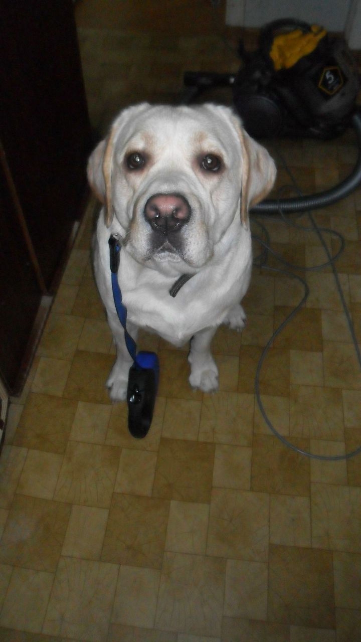 Оксана Клевцова николаевна | 