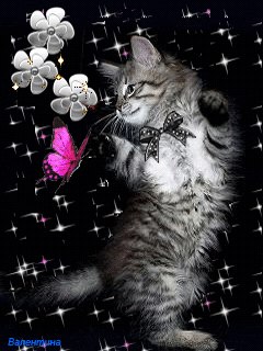 №6, Леся Вяткина №6, Леся Вяткина