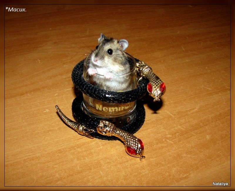 Татьяна Белоусова | Санкт-Петербург