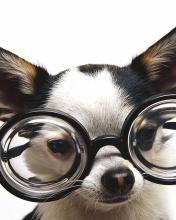 Руслан Диденко | Киев