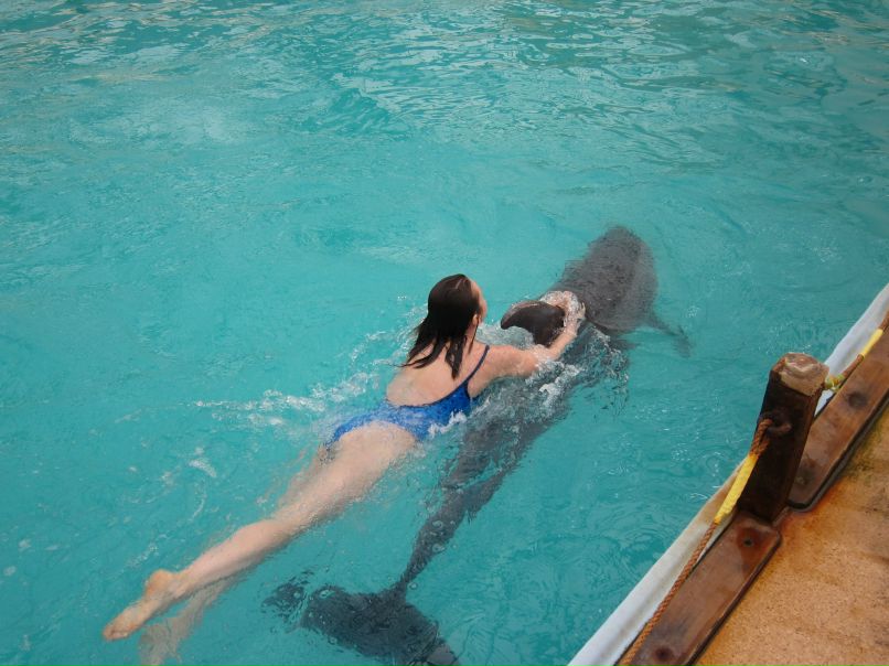 Алевтина Романченко | Ростов-на-Дону