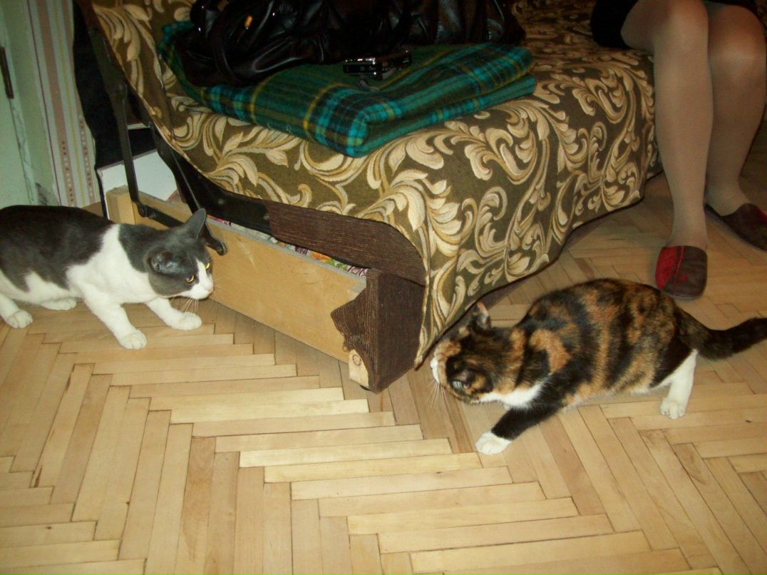 Галина Столярова Петровна | Санкт-Петербург