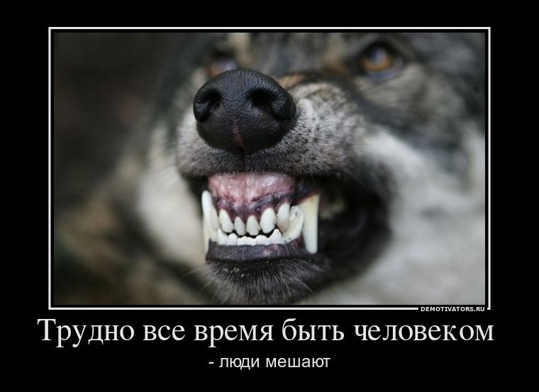 Надежда Шашкова | Екатеринбург