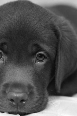 Олег Нигманов | Челябинск