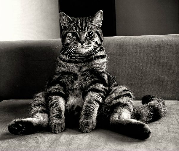 №21, Андрій Мельниченко, 32 года, Львов №21, Андрій Мельниченко, 32 года, Львов