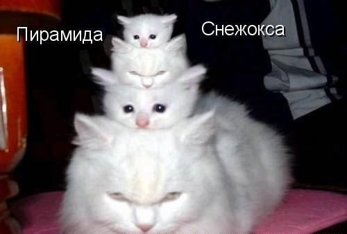№4, Настя Паниско, 36 лет, Измаил №4, Настя Паниско, 36 лет, Измаил