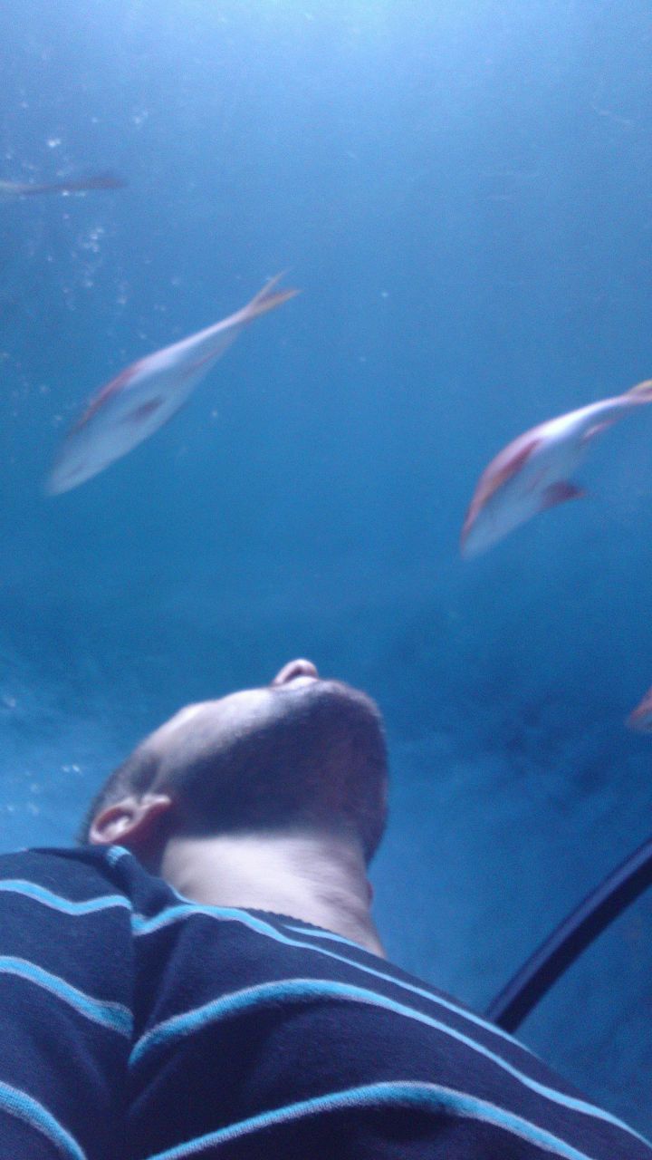 Серёжа Каленюк | Балашиха