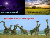 №33 Маргарита Алексеева : профиль, фото, статус - ВКонтакте