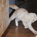 Виолетта Бойко нет | Ейск