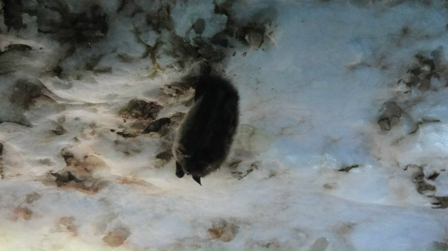 Александр Волохов | Северодвинск