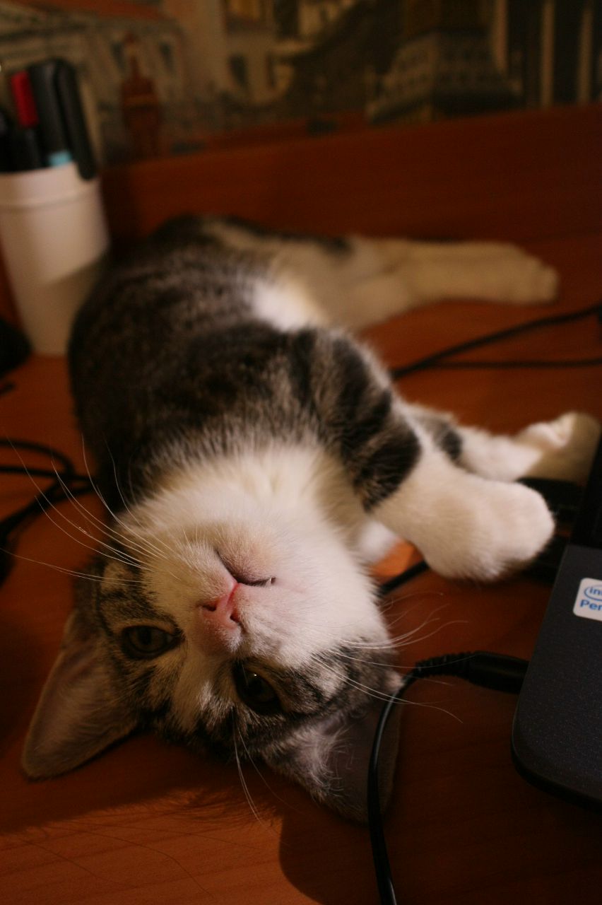 Usik Karpovich | Санкт-Петербург