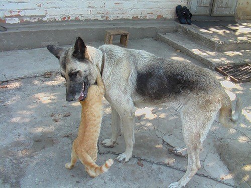 Кира Искренко | Москва