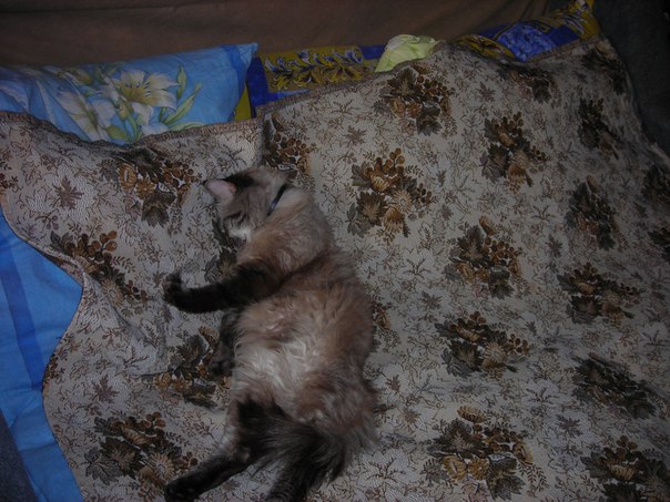 №98, Надежда Григорьева, 14.06.1954, Всеволожск №98, Надежда Григорьева, 14.06.1954, Всеволожск