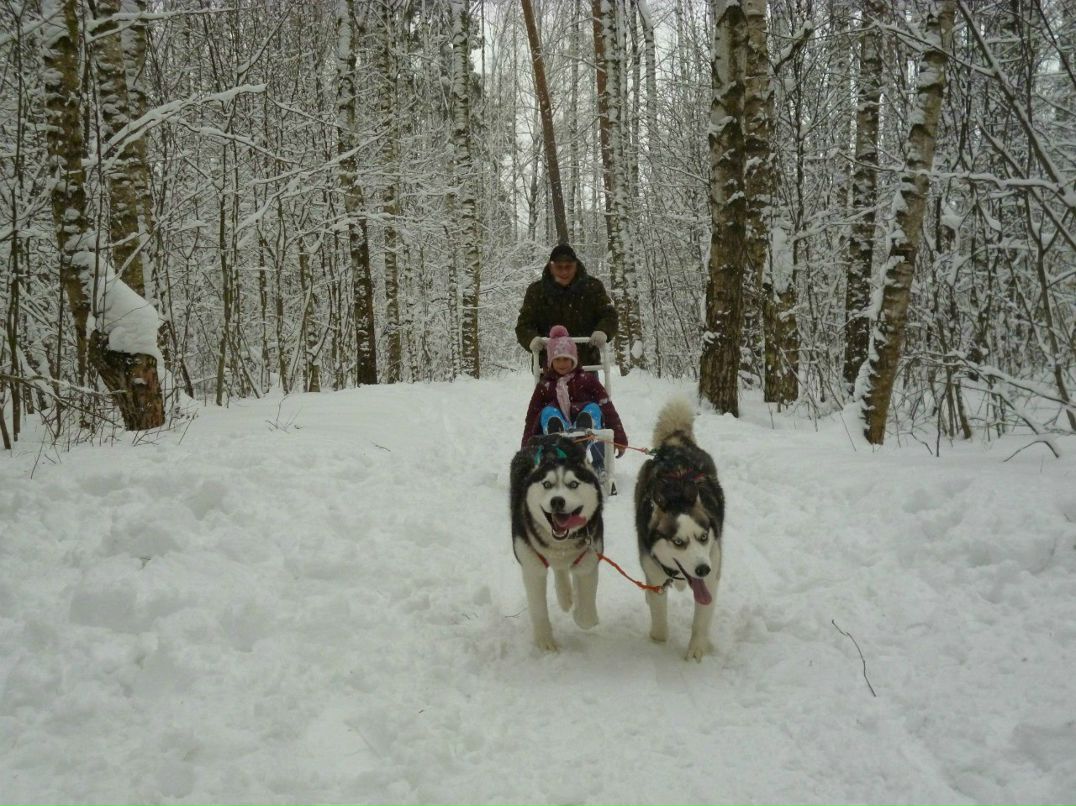 Анна Романенкова | Ногинск