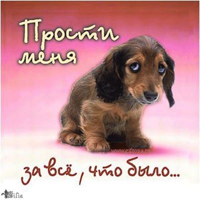 Jek Sunrize | Киев