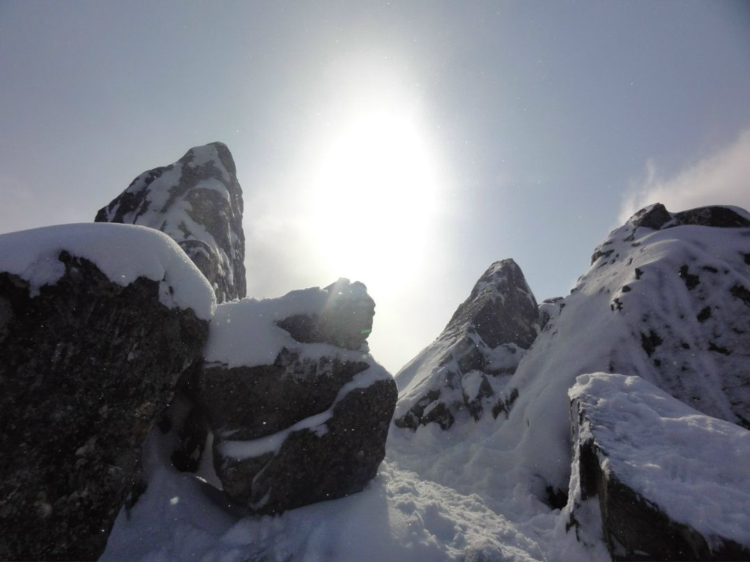 Алексей Настоящий | 