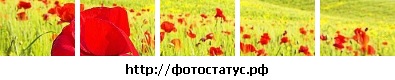 №66, Януля Моргачева, 35 лет, Москва, Россия №66, Януля Моргачева, 35 лет, Москва, Россия