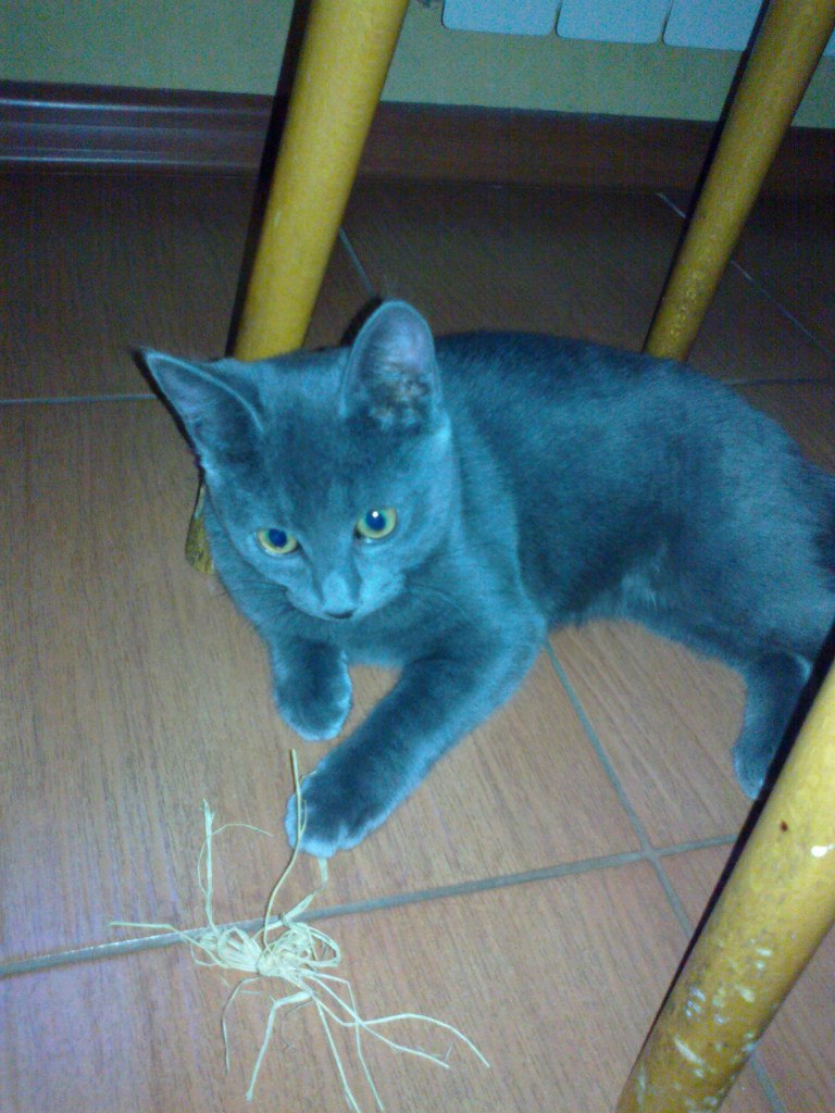 Наталия Кривченкова Ипатова | Москва