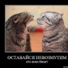 Аватар: Sas Sas