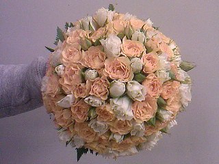 Полина Козлова | Санкт-Петербург